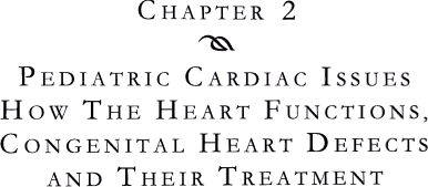 Chapter 2 - Pediatric Cardiac Issues